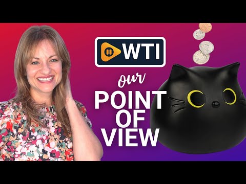 Nigoways Cat Piggy Bank - WTI product video review