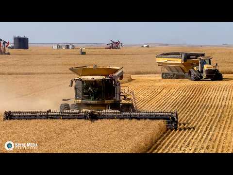 XXL-Ernte in Kanada 2025 🇨🇦–6x CLAAS Lexion Mähdrescher & 2x CAT Challenger im Einsatz! Sound-Movie