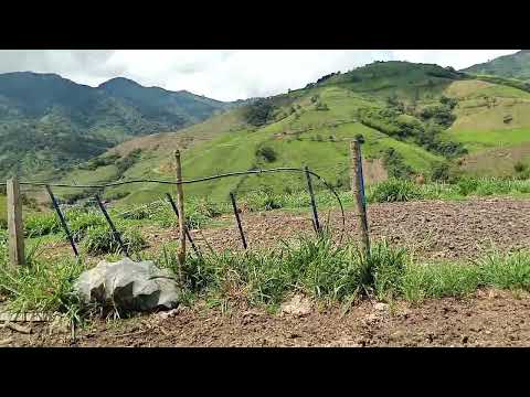 Uno de los lugares de santuario Risaralda.. 