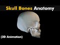 Skull Bones Anatomy | 3D Animation (Urdu/Hindi)