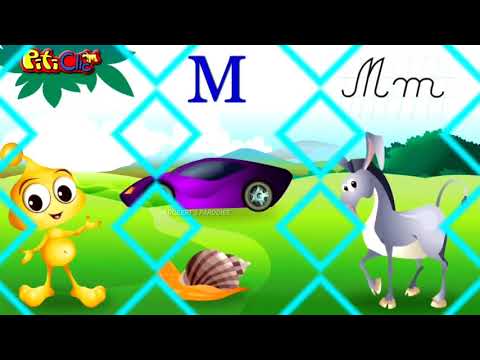 ALFABETUL cu YNY SEBI HIGH