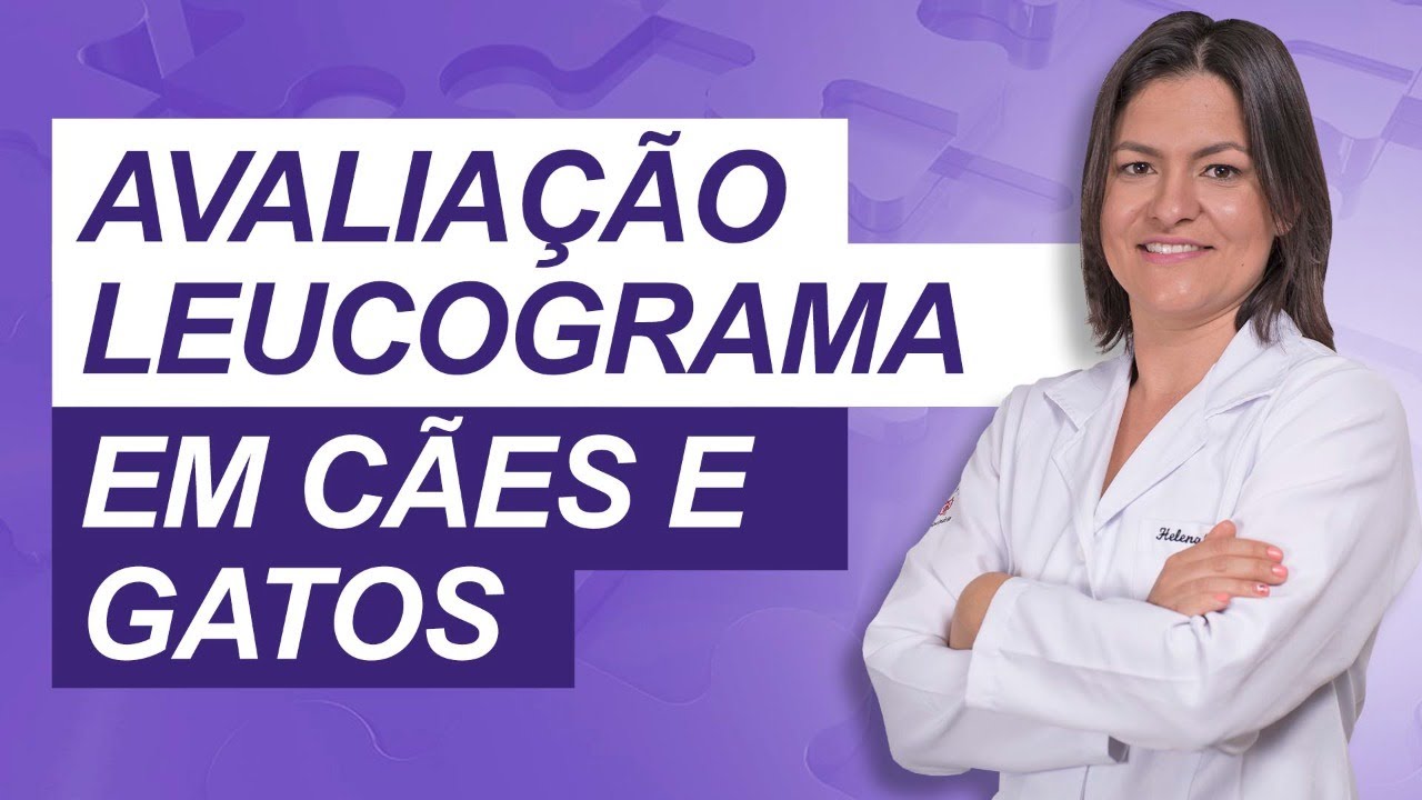 Websérie perguntas e respostas: Aula 4: Avaliação leucograma em cães e gatos.
