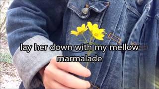 Ocean Alley-Yellow Mellow(lyrics)