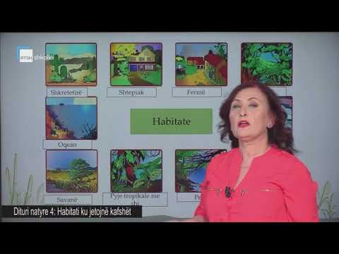 Dituri natyre 4 - Habitati ku jetojnë kafshët