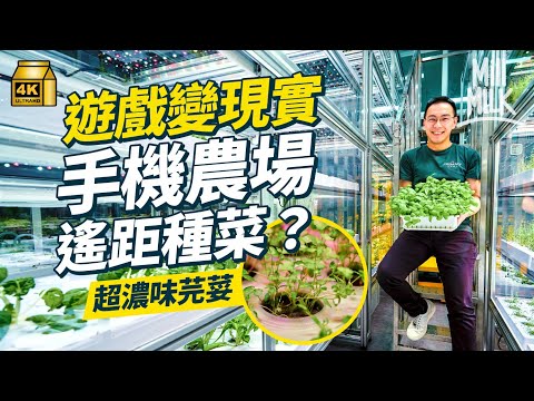 https-::www.youtube.com:watch?v=TSJwMZvw