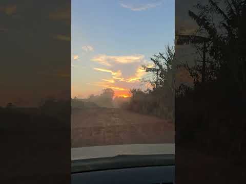 pueira no alto alegre dos parecis
