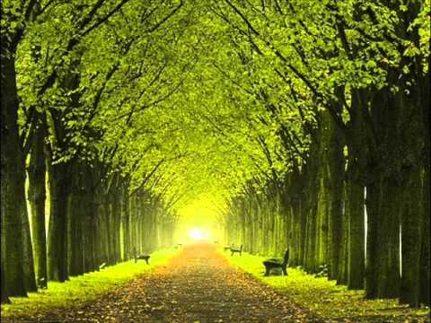 "His Hand In Mine" - Carroll Roberson