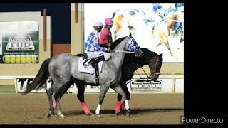 El pelícano de Chicago (Grupo Laberinto)