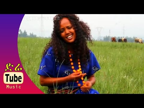 Habaaboo Bashaaduu - Deemsa Karaa Dheeraa - Afaan Oromoo Music Video 2016