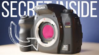 15 year old Foveon X3 camera! Using the Sigma SD14 DSLR in 2022