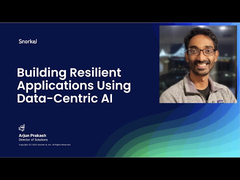How Data-Centric Design Supports Resilient AI