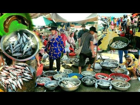 Ever Seen River fish, Dried Fish &  Seafood Distribution Site @ Kilo #9? | Cambodian Street Food