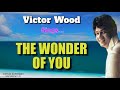 THE WONDER OF YOU Victor Wood With Lyrics
