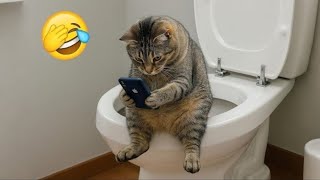 Funny Animals 2025 🐾 | Hilarious Pets and Cute Animal Moments Compilation