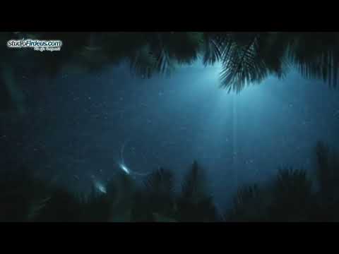 45. Surja El Xhathije - Gjunjezim