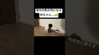 自分の影を追いかける赤ちゃん🥰 #育児記録 #赤ちゃん #育児あるある #赤ちゃんのいる生活 #地球