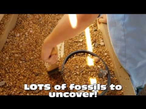 Promotional video thumbnail 4 for The Dino Dig -Mobile Dinosaur Fossil Dig