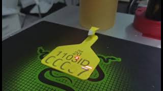 DF20 marking on TPU ear tag DF20 marking on TPU ear tag