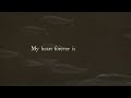 Thy Word - Psalm 119