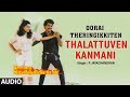 Thalattuven Kanmani Audio Song Tamil Movie Oorai Theringikkiten Pandiarajan Pallavi Gangai Amaran