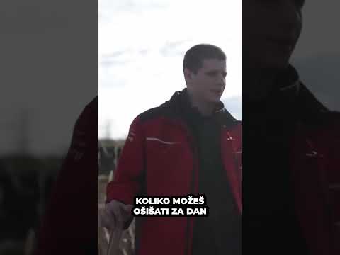 450 ovaca ošišamo za dan | Izazovi Avanturu