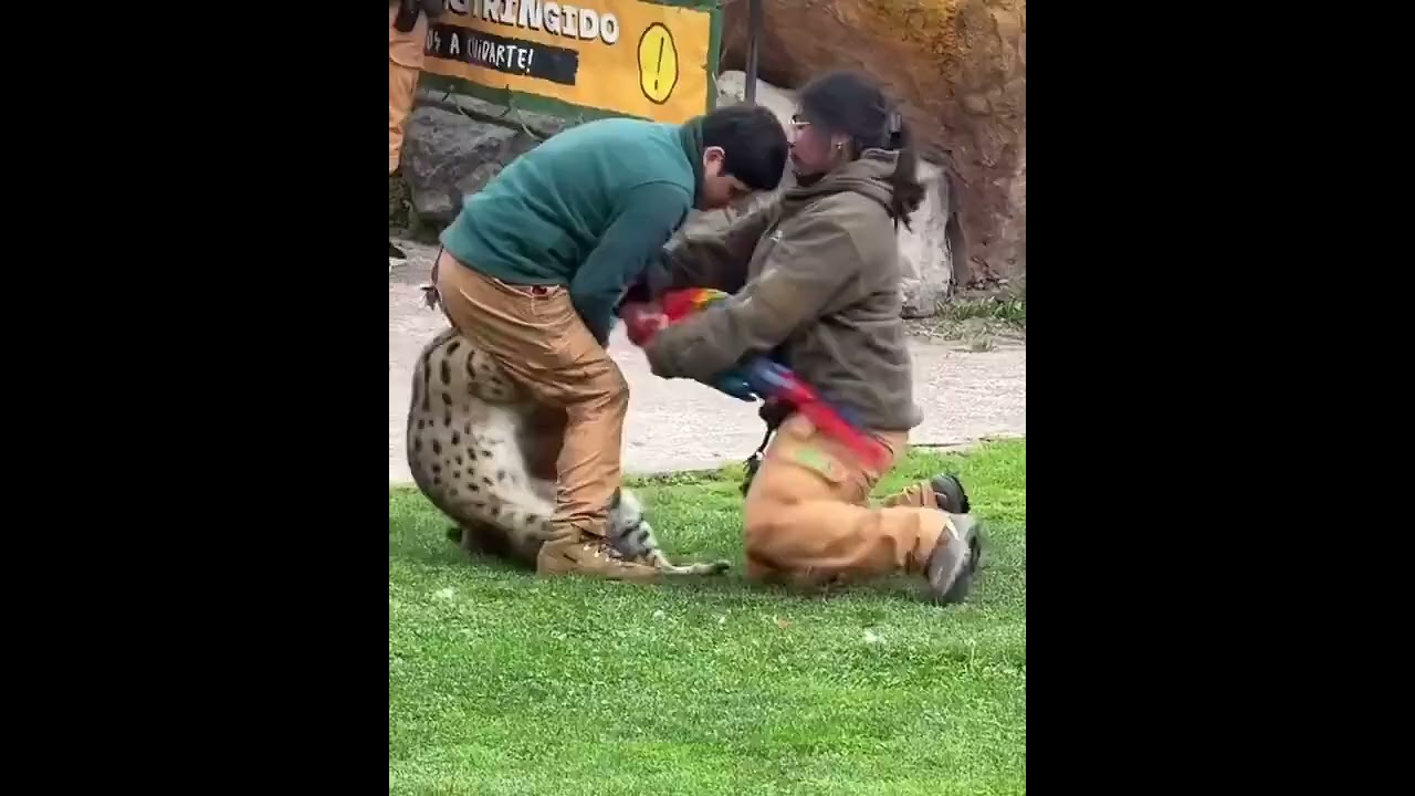 This Was Not Part Of The Show