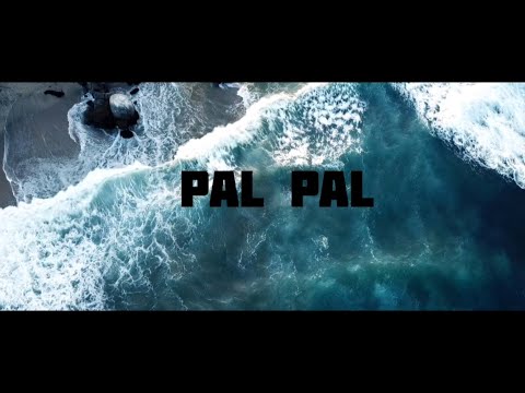 Pal Pal - Afusic X Talwinder by Nx Music version