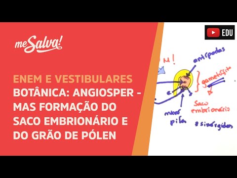 Me Salva! BOT10 - Botânica - Angiospermas: Formação do saco embrionário e do grão de pólen