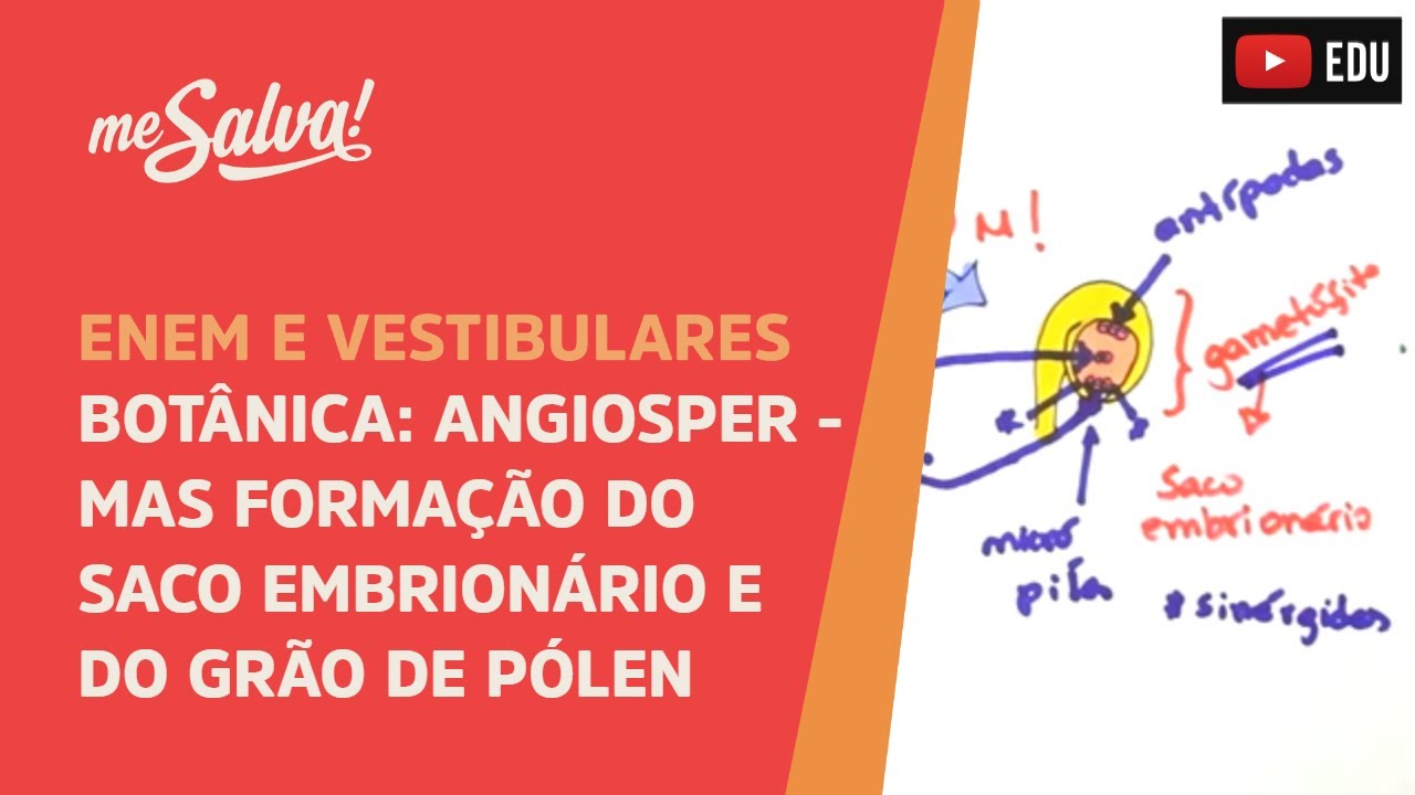 Me Salva! BOT10 - Botânica - Angiospermas: Formação do saco embrionário e do grão de pólen
