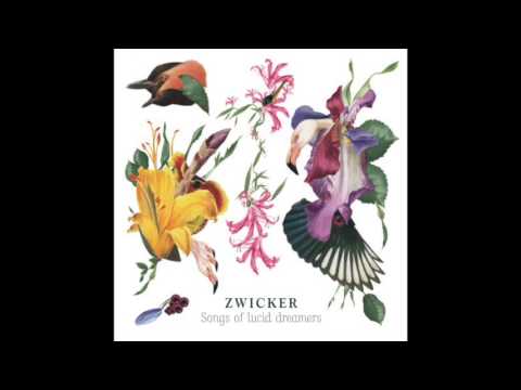 Zwicker - Ping Pong Muses (feat. Valentino Tomasi)