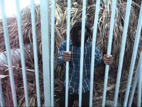 Hollywoodyoo - Junbug