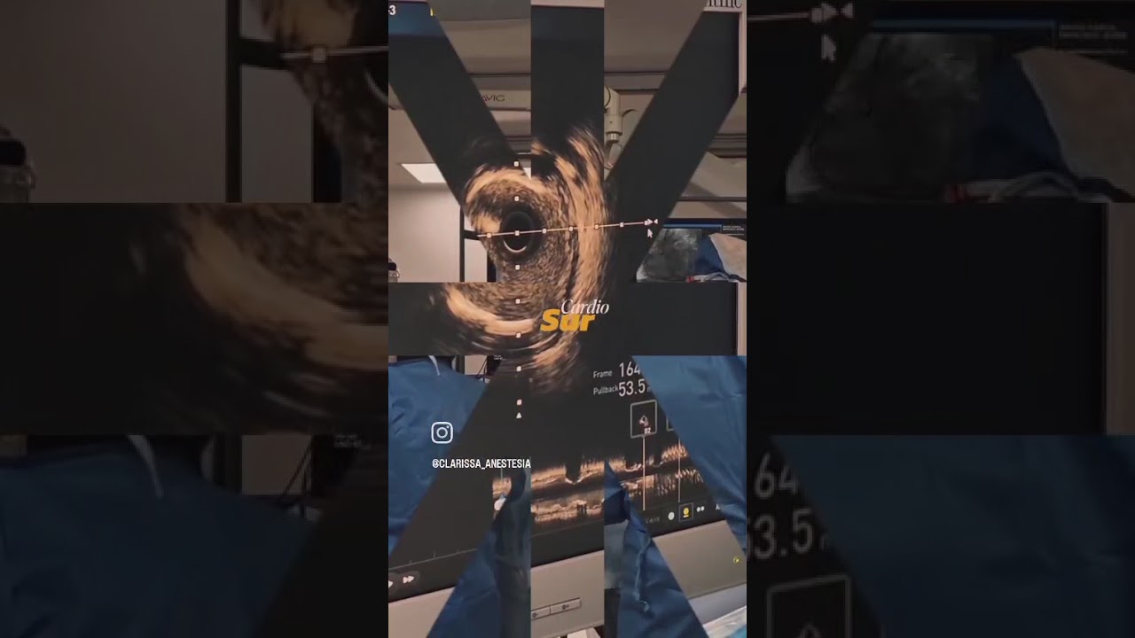 Rafael Vera Urquiza-8