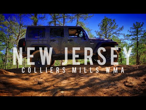 We're in NEW JERSEY? Exploring Colliers Mills and the Pine Barrens