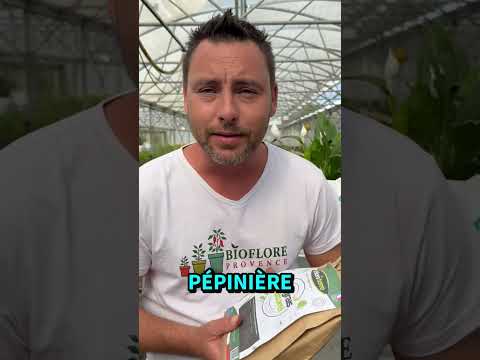 🌱 Et vous, comment nourrissez-vous vos plantes ?