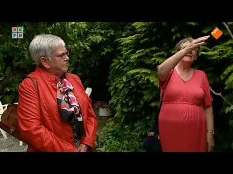 De Rijdende Rechter 25-03-2014 - Zeeuws muurtje