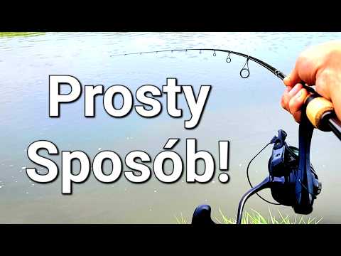 Prosty Sposób na Ryby z Rzeki?! Spinning z Brzegu! Wędkarstwo Spinningowe Wisła PZW Łowienie ryb!