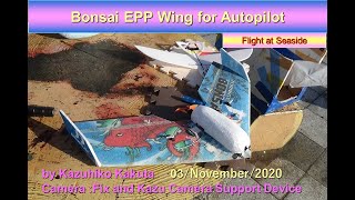 FPVができる無尾翼機　Bonsai EPP Wing for Autopilot under199: Flight　at seaside