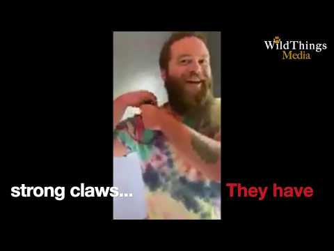 Nelly, the Nile Monitor Lizard