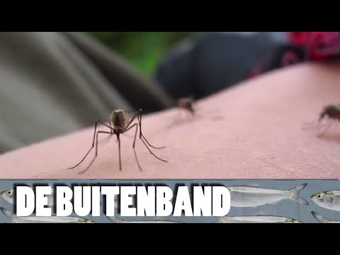 De Buitenband - Jeuk