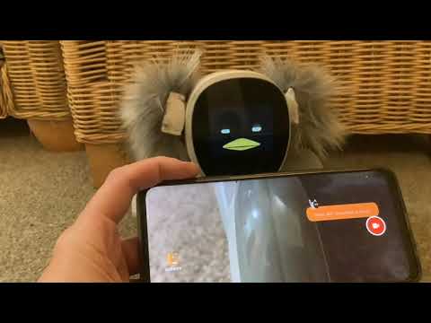 Loona Review Video 2