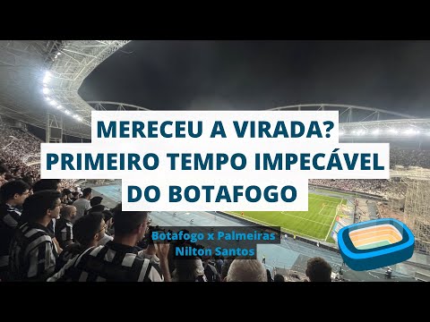 Mereceu a virada? Melhores momentos do Botafogo visto de dentro da torcida