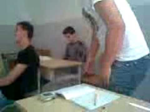 Ardit sula 3c                 m s d