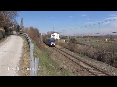 IL FISCHIO DEL MINUETTO E. AI CANI VICINO AI BINARI A BORGO S. DALMAZZO (CN) DOM. 10 - 3 - 2019