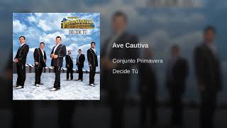 Conjunto primavera- Ave Cautiva