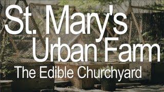 Claire West: St. Mary's Urban Farm: The Edible Churchyard