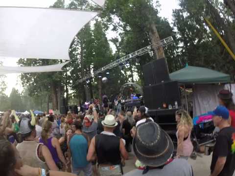 Orgone live at Guitar Fish 2015  - Funky Jams