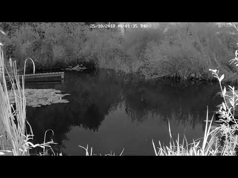 Nature one 075823 080323