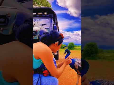 piyumi srinayaka😍🥰 #youtubeshorts #trending #viral #beautiful #shorts #piyumi #peocock #srilanka 😊