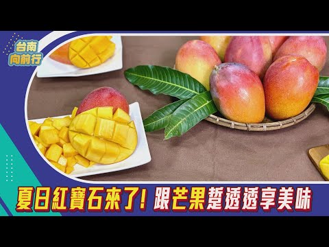 台南向前行 第31集-夏日紅寶石來了! 跟芒果踅透透享美味