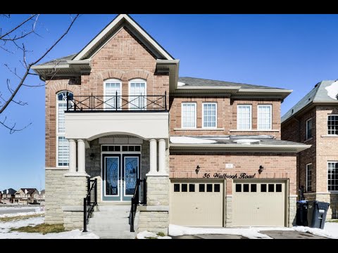56 Walbrook Road Brampton